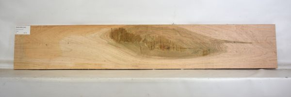 Maple - Ambrosia