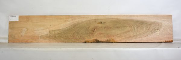 Maple - Ambrosia - Image 2