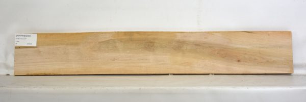 Maple - Ambrosia