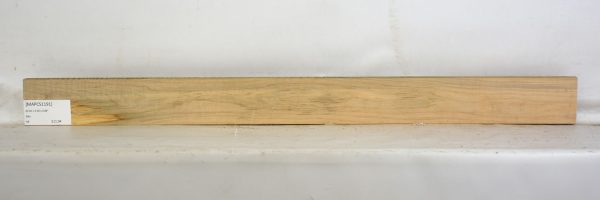 MAPCS1191_1