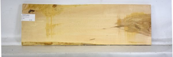 MAPH1083_1