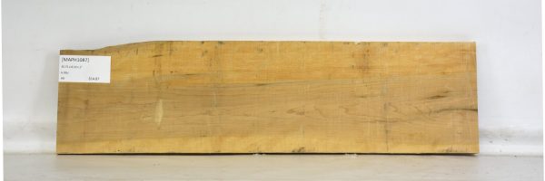 MAPH1087_2