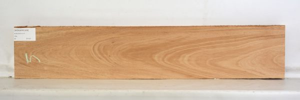 Mahogany - African - Image 2