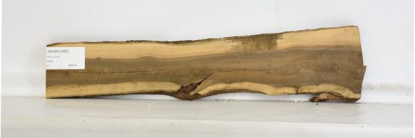 OLWIL1092_2