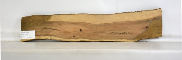 OLWIL1093_2