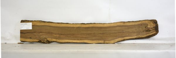 OLWIL1096_2