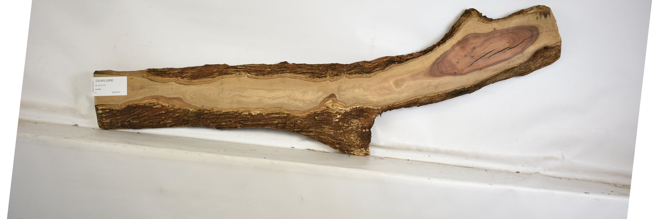 Olive - Wild 2 OLWIL1099_2