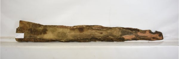 OLWIL1102_2