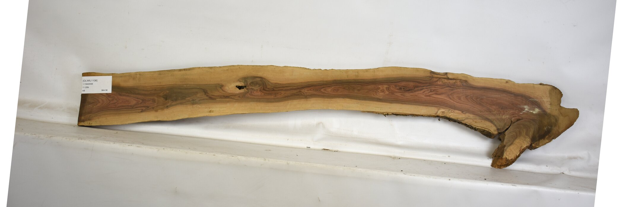 Olive - Wild 2 OLWIL1106_2