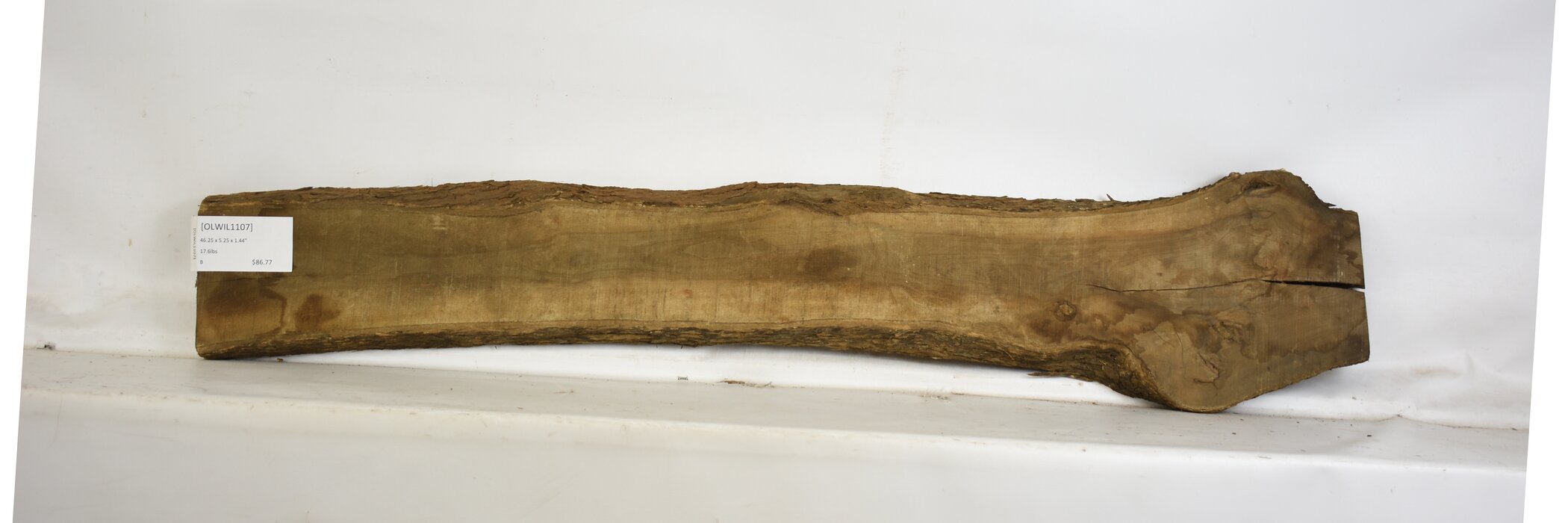 Olive - Wild 2 OLWIL1107_2