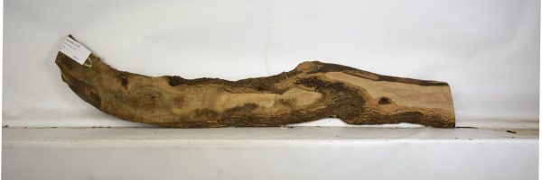 OLWIL1120_2