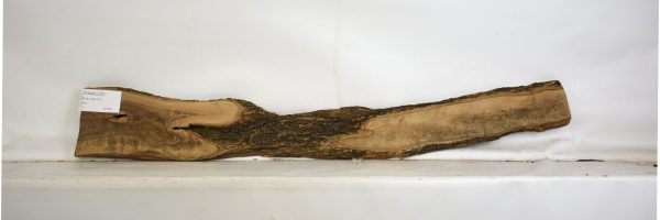 OLWIL1125_2
