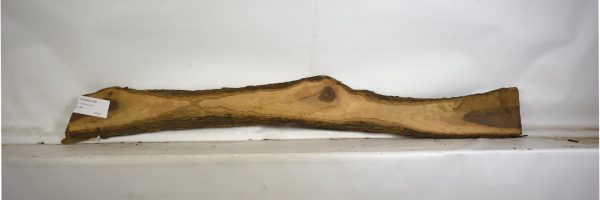 OLWIL1126_2