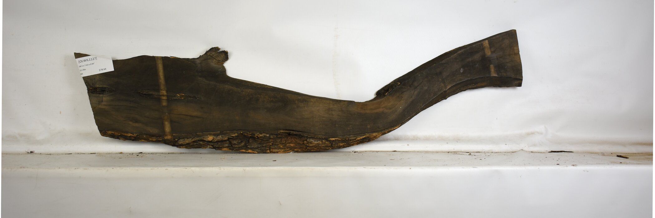 Olive - Wild 2 OLWIL1127_2