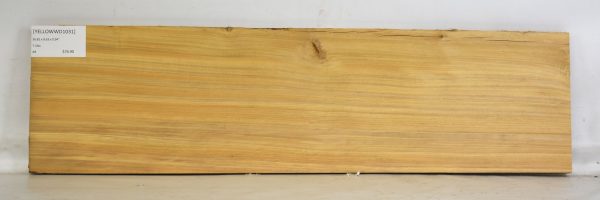 Yellowwood