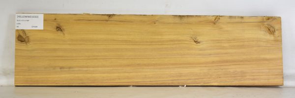 Yellowwood - Image 2