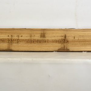 ZEB1276_1
