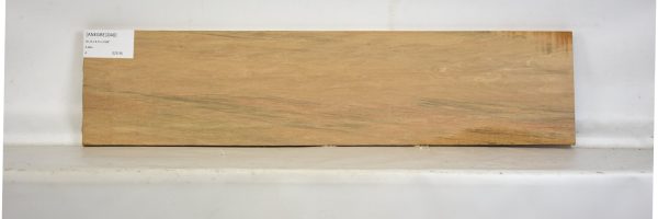ANEGRE1040_2