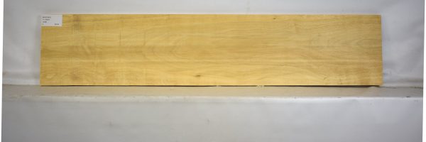 AVO1091_1