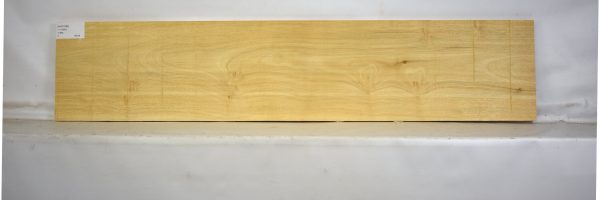 AVO1092_2