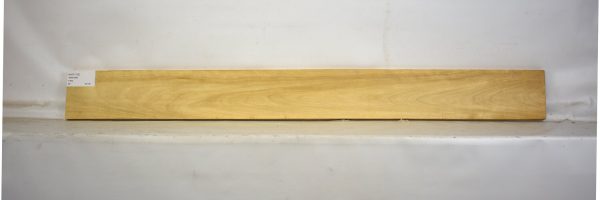 AVO1102_2
