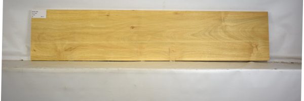 AVO1104_2