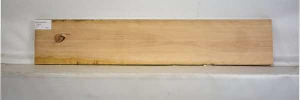 BEECHAM1049_2