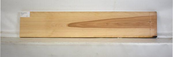 BEECHAM1050_1