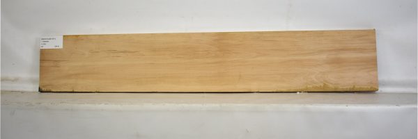 BEECHAM1051_2