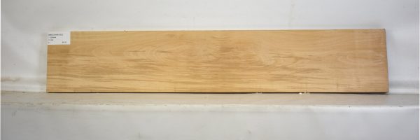 BEECHAM1052_2