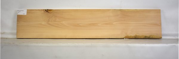 BEECHAM1053_2