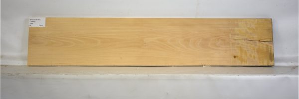 BEECHAM1054_2
