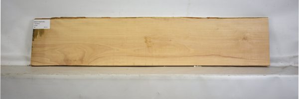 BEECHAM1055_2