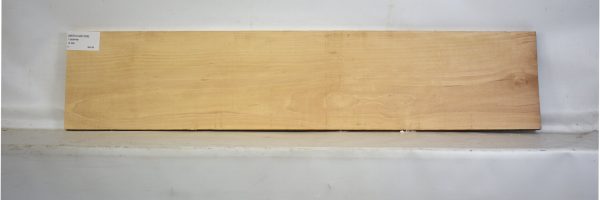 BEECHAM1056_2