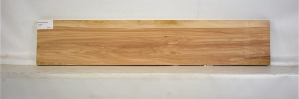 BEECHAM1062_1