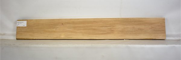 BEECHAM1063_2