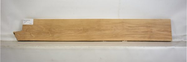 BEECHAM1064_1