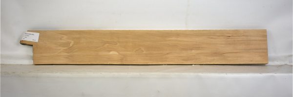 BEECHAM1064_2