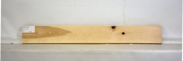 BIRFL1140_2