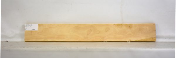 BIRFL1142_2