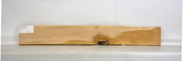BIRFL1148_2
