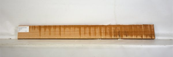 CEDARSPAN1099_1
