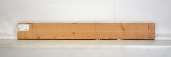 CEDARSPAN1107_1