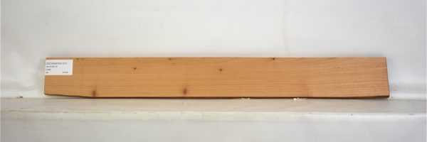 CEDARSPAN1107_2