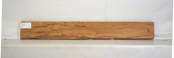 CUM1031_1