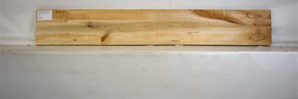 MAPAMB1050_2
