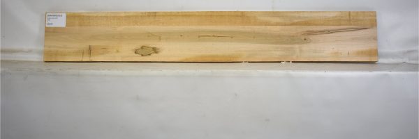 MAPAMB1053_1