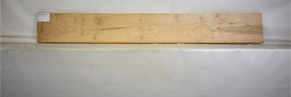 MAPAMB1058_2
