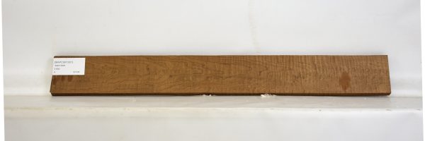 MAPCSR1001_2