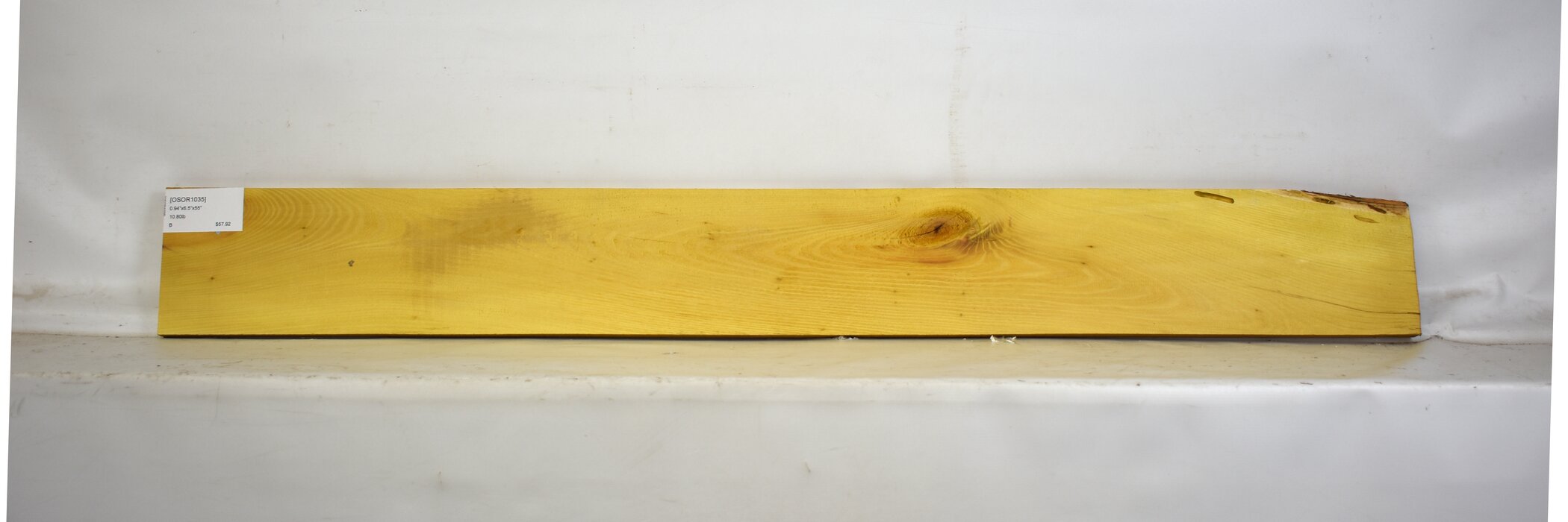 Osage Orange 2 OSOR1035_2